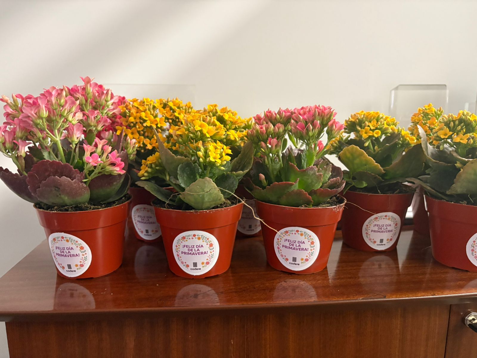 Imagen de Más cerca, más comprometidos